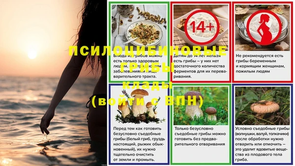 прущие грибы Беломорск