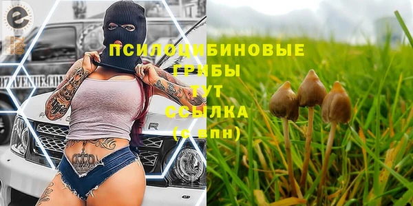 прущие грибы Беломорск