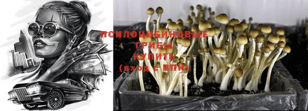 первитин Белокуриха