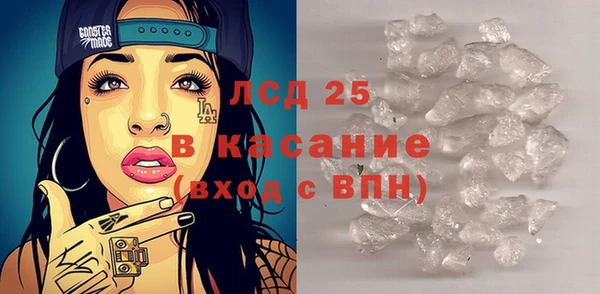 прущие грибы Беломорск