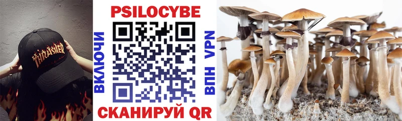 купить  цена  Окуловка  Галлюциногенные грибы Psilocybe 